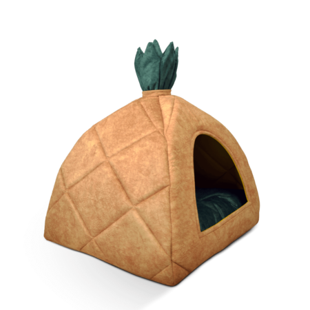 PINEAPPLE cave