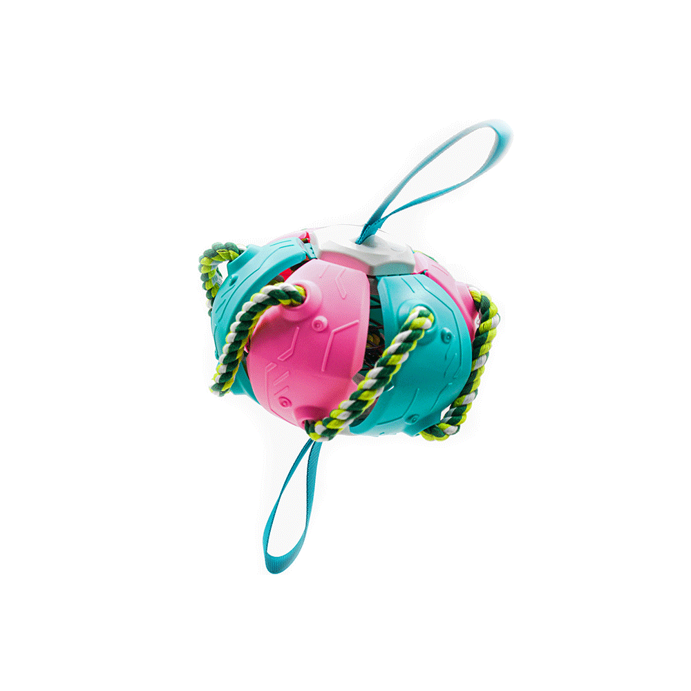 Happy Frisbee Ball Happy Frisbee Ball