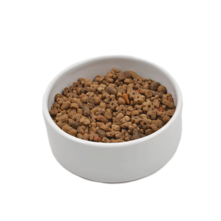 Fish Ceramic Feeding Bowl