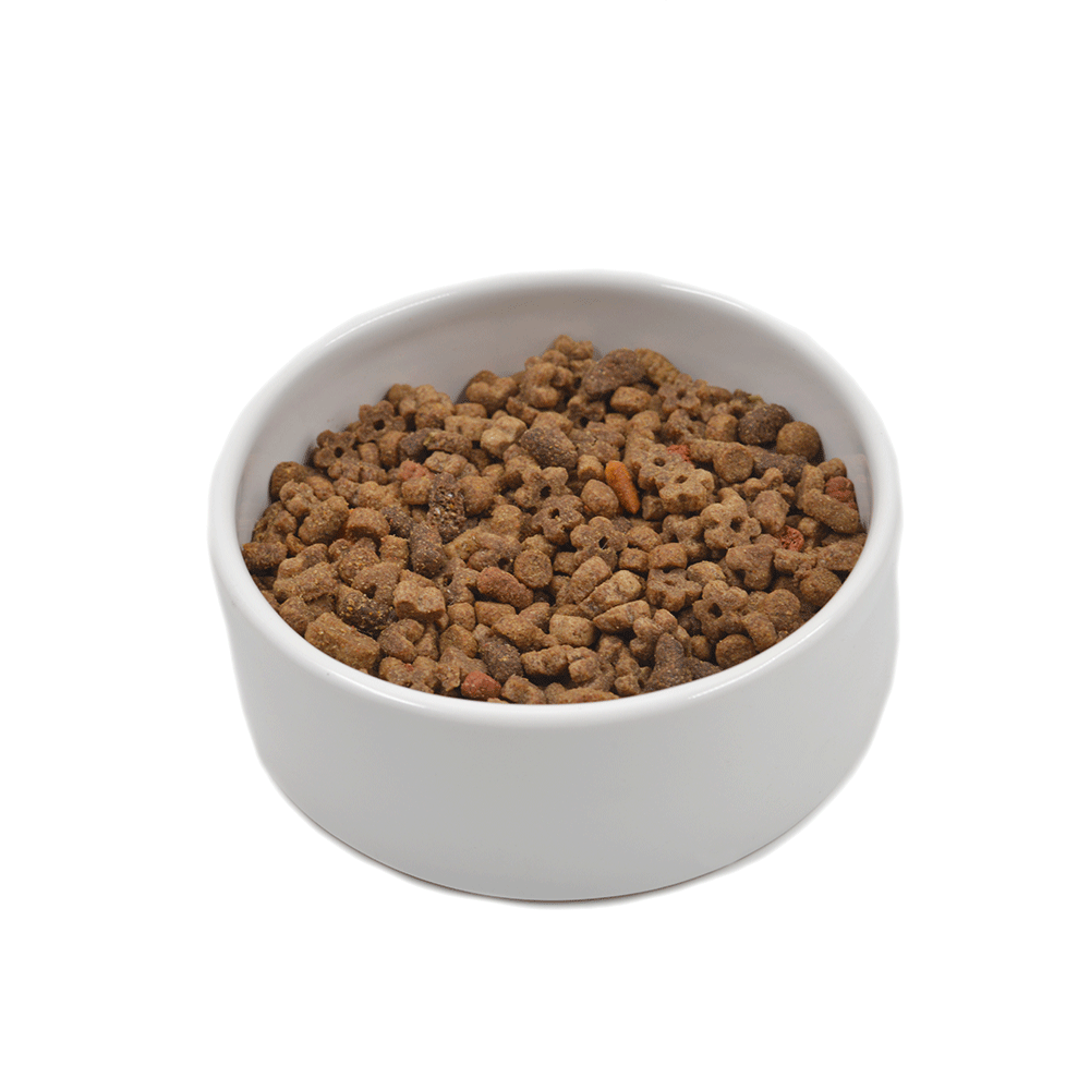 Fish Ceramic Feeding Bowl Fish Ceramic Feeding Bowl