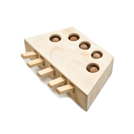Duolingo Toy